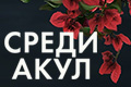Среди акул